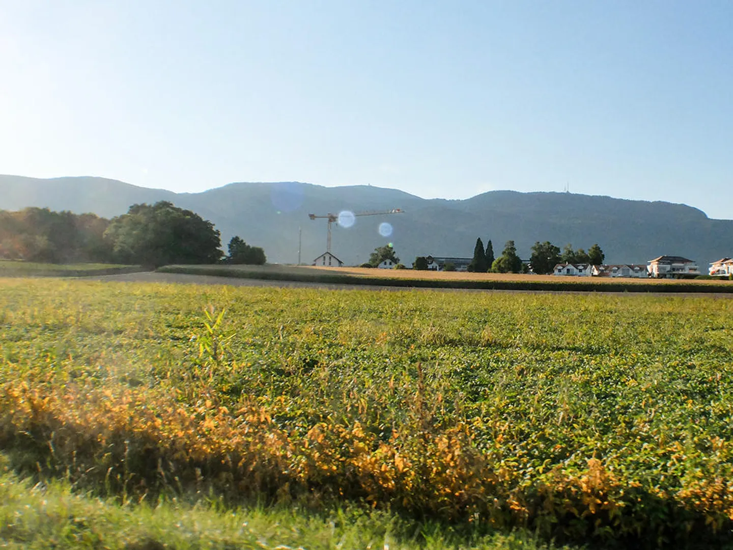 Villa Mitoyenne Contemporaine - Photo 2 sur 3