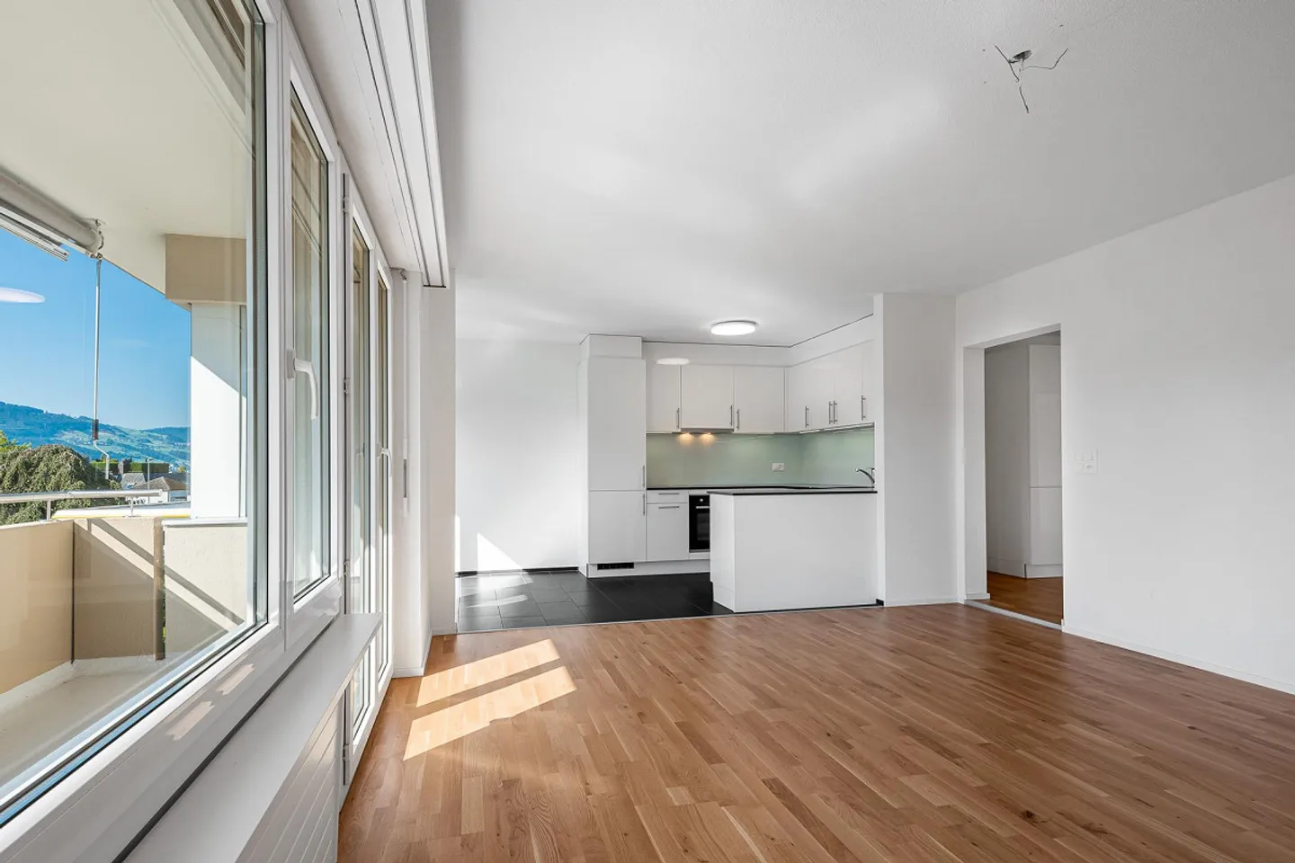 Appartement de rêve près du lac de Zurich ! - Photo 5 sur 13