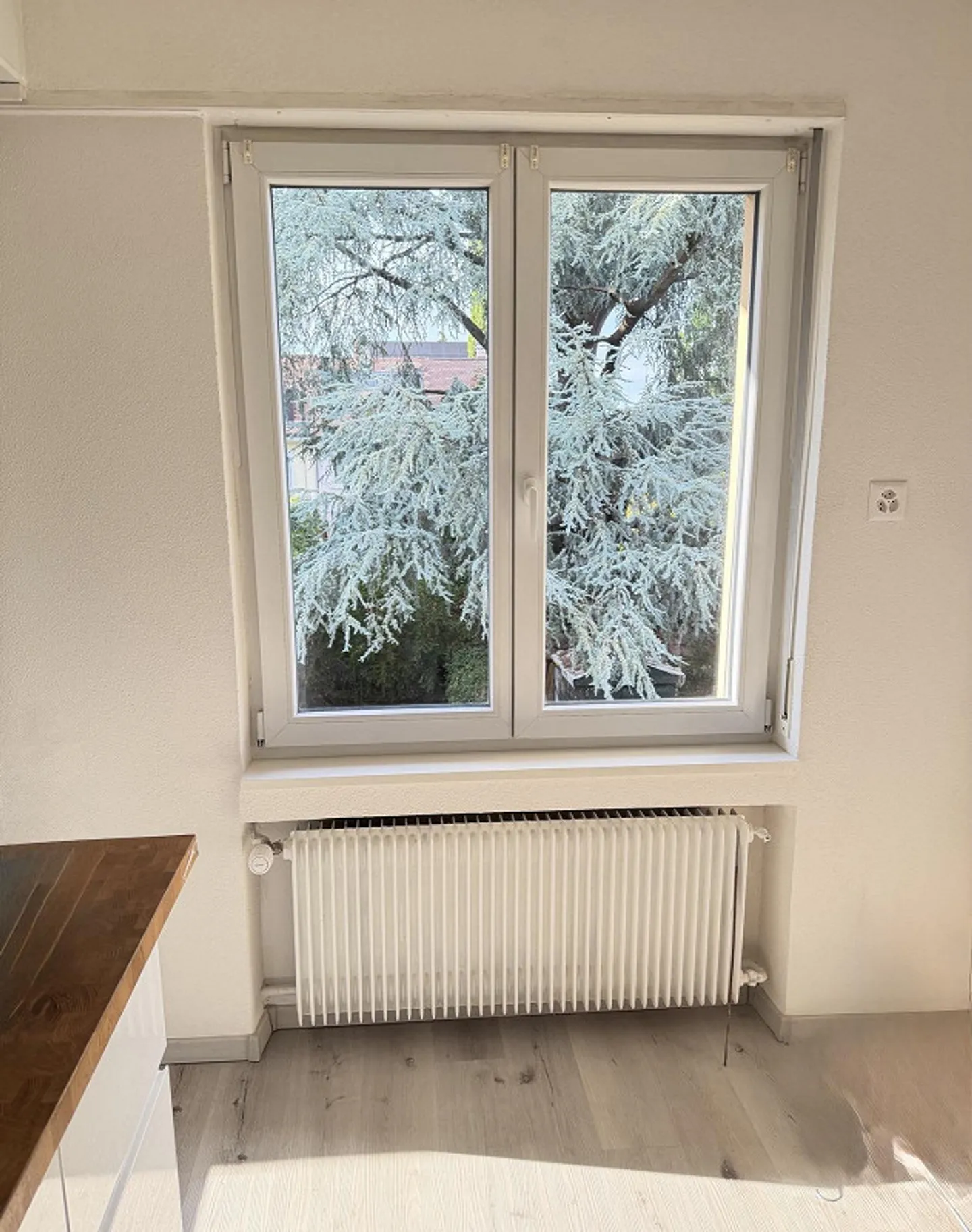 Renovierte Wohnung mit Garten - Foto 6 von 12