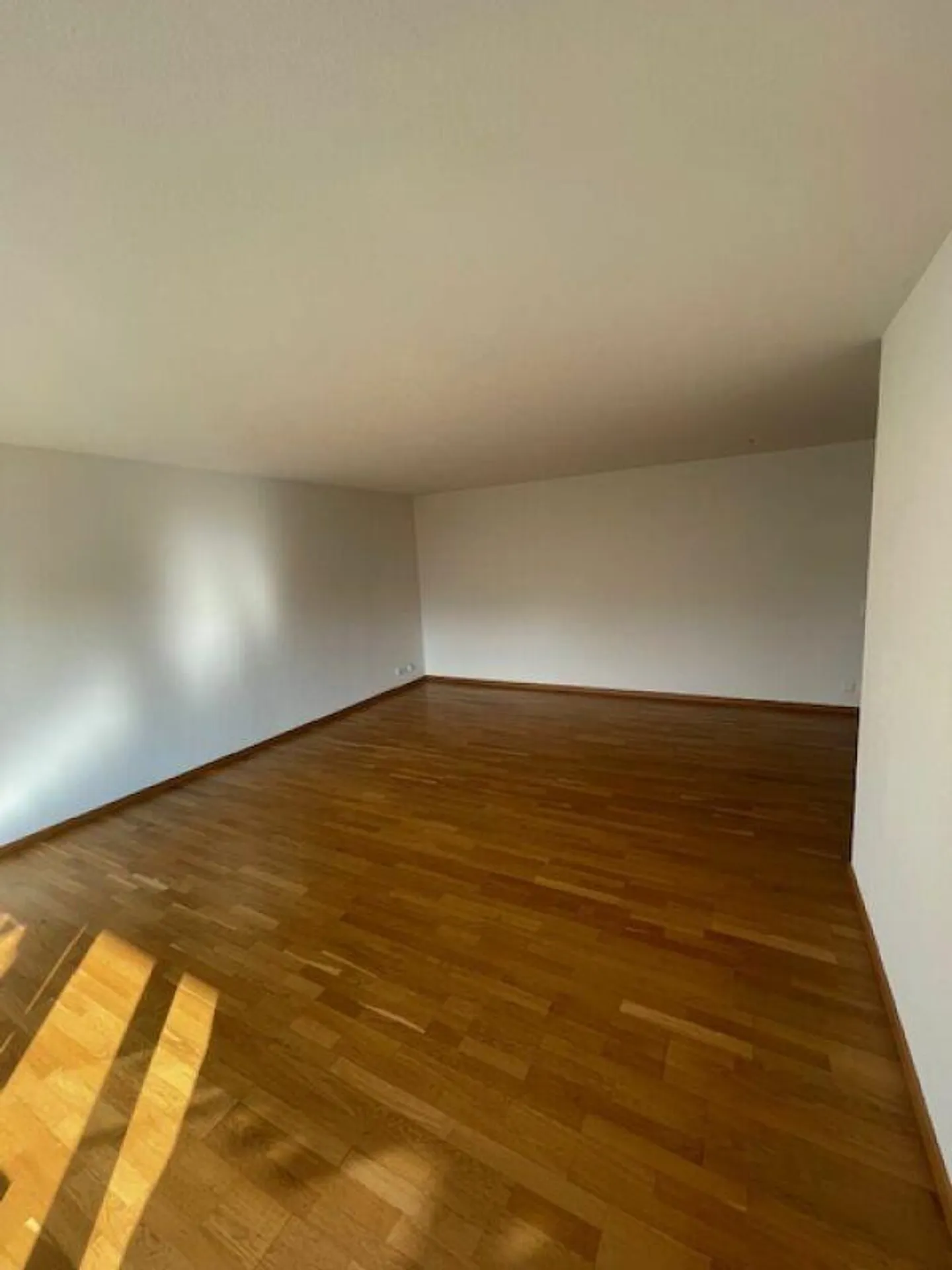 Cozy 3.5 room apartment for rent - Photo 2 of 13