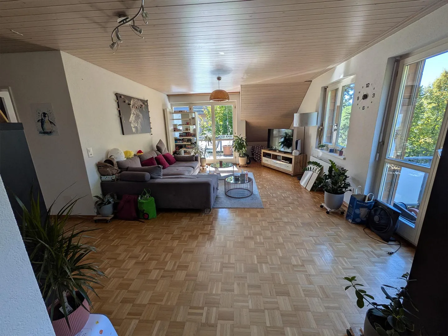 Charmante, spacieuse appartement sous les combles cherche locataire! - Photo 4 sur 13