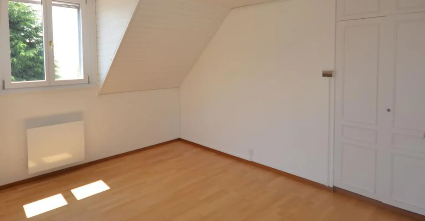 SAINT-PREX - DUE VILLE SUL LUNGOMARE DEL LÉMAN, CON ACCESSO PRIVATO AL LAGO - Foto 7 di 12