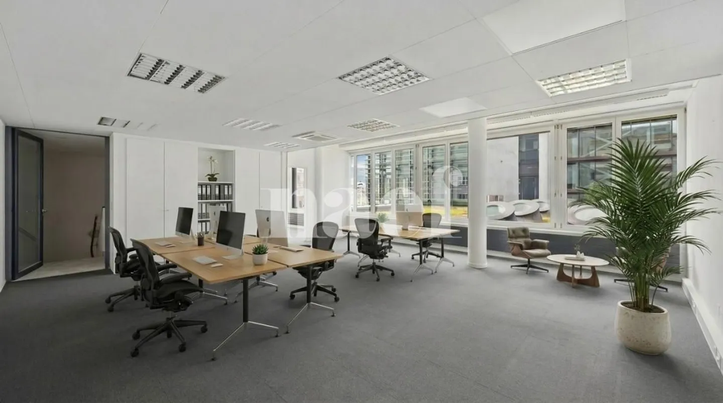 Bright and functional offices in the heart of Delémont Close to the Train Station - Photo 1 of 10