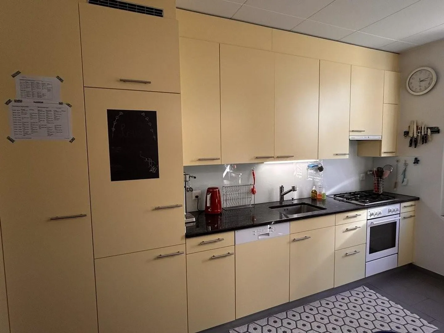 Appartamento 4 locali in buona posizione a Berna vicino all'Aare in affitto - Foto 9 di 12