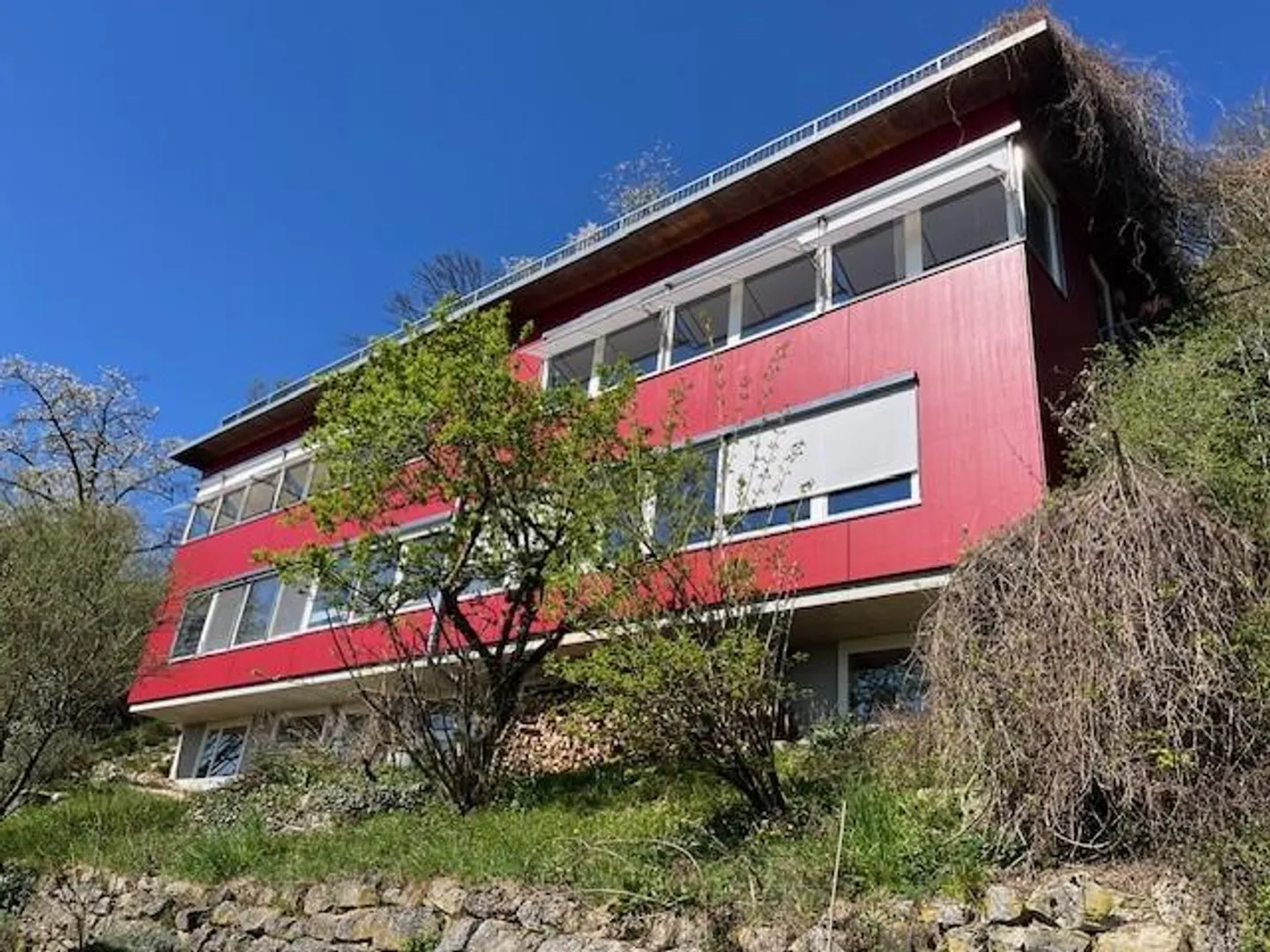 Oasi con vista al margine della foresta - Foto 1 di 11