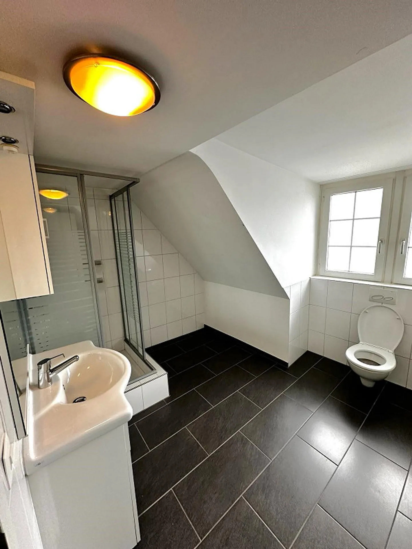 Historisches Mehrfamilienhaus mit Charme und guter Rendite in Arbon - Foto 12 von 14