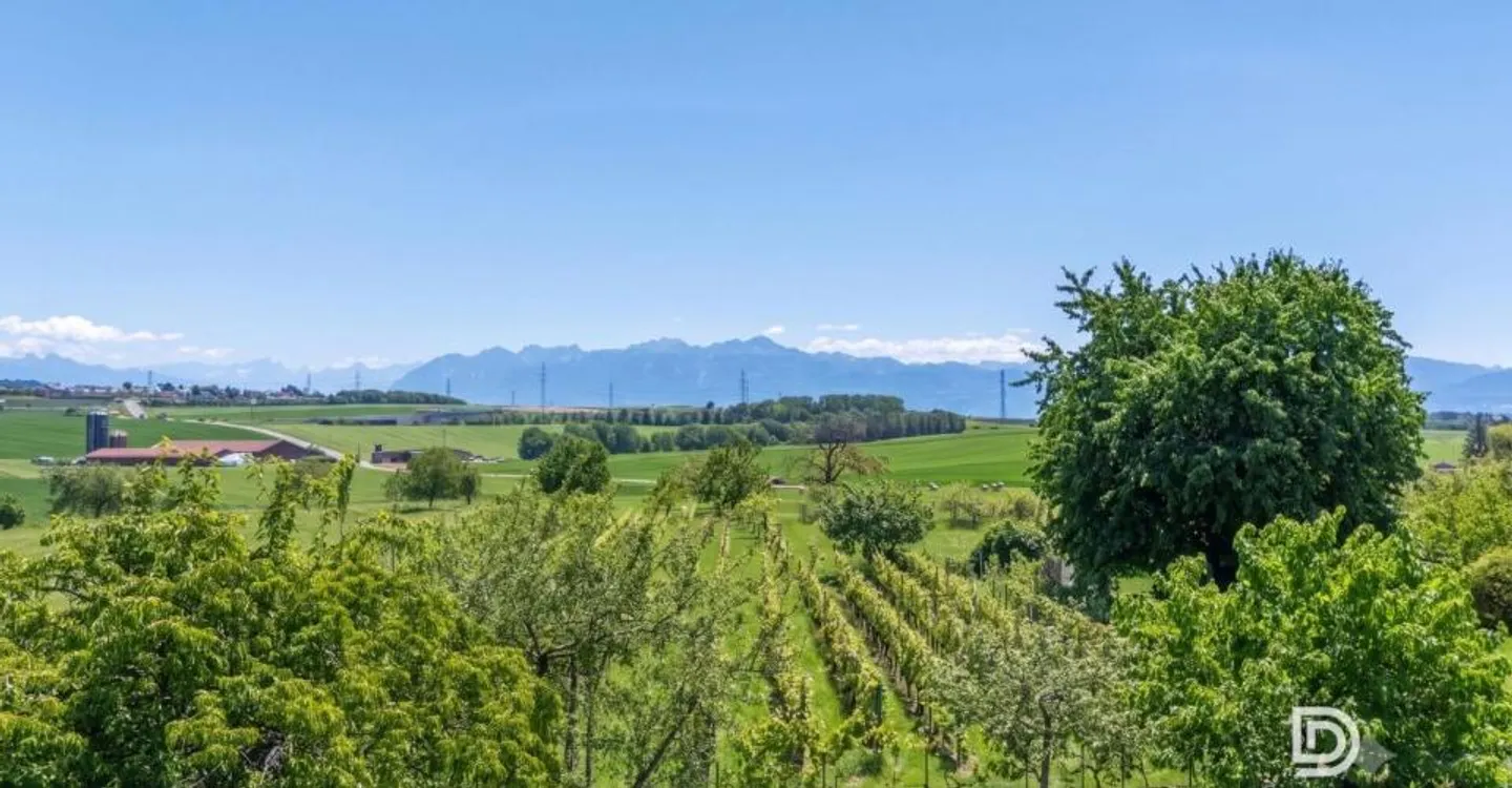 Appartamento caratteristico con vista panoramica e giardino nel cuore del villaggio! - Foto 3 di 13