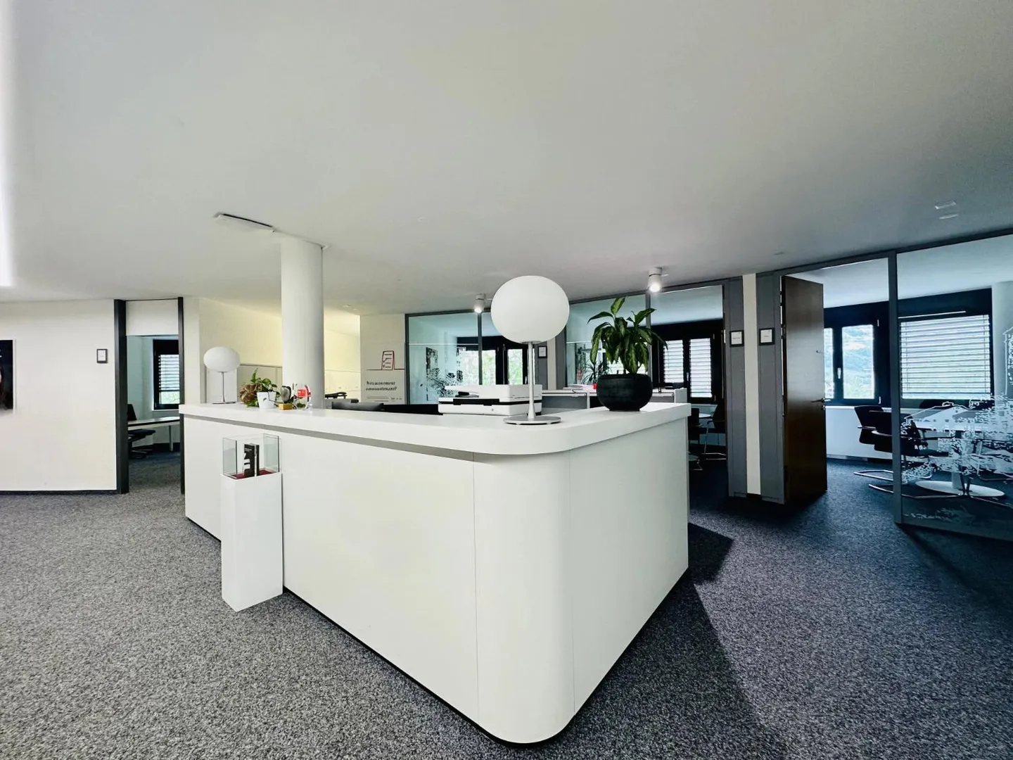 Bureaux Prestigieux à Sion - Photo 1 sur 12