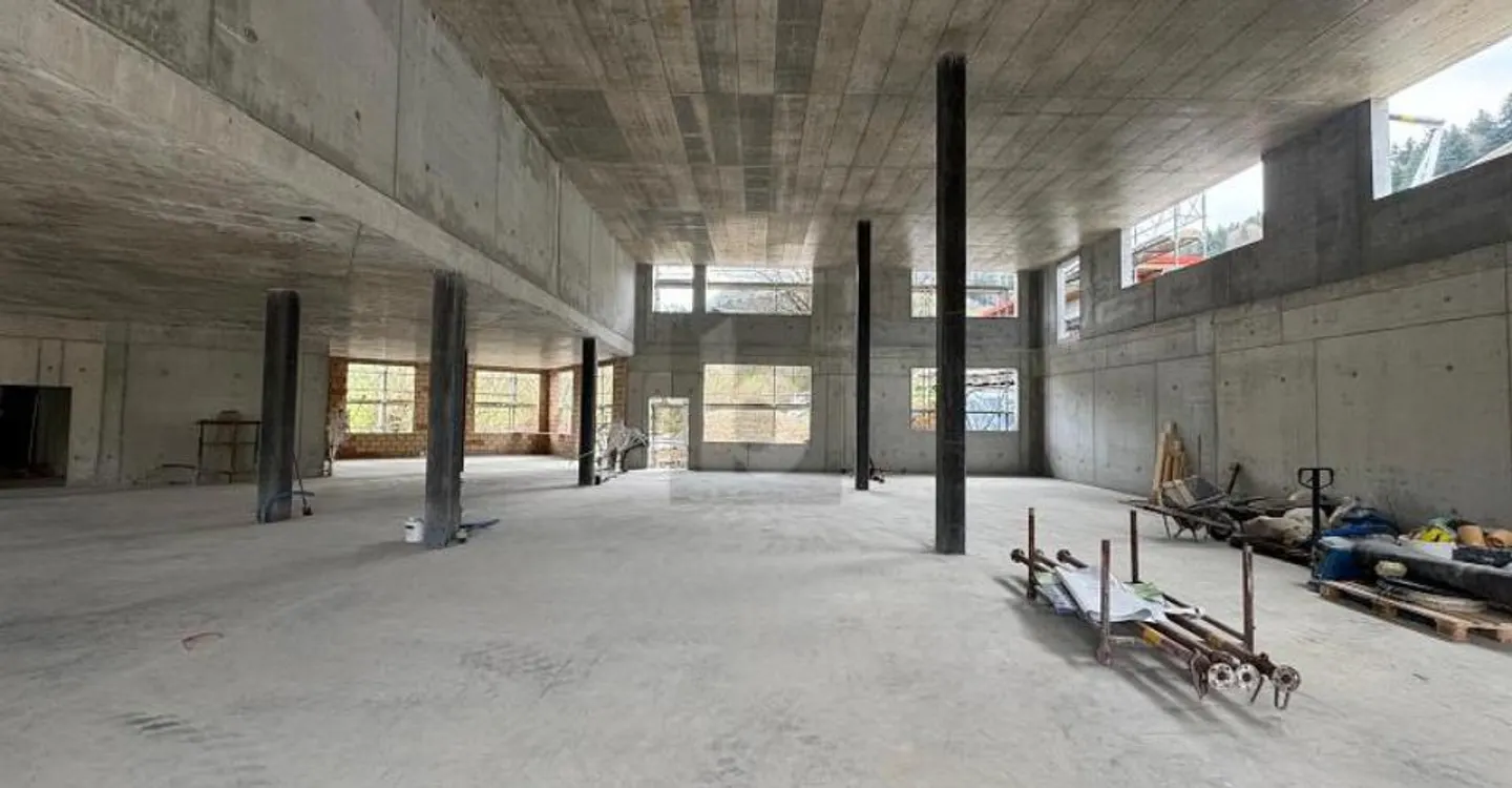 BEAUCOUP D'ESPACE POUR VOTRE IDÉE D'AFFAIRES - Photo 3 sur 4