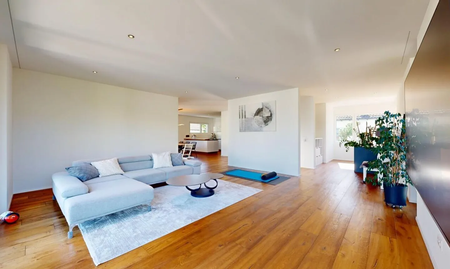 Modern Detached Family House with Large Garden in Dietikon - Photo 1 of 11