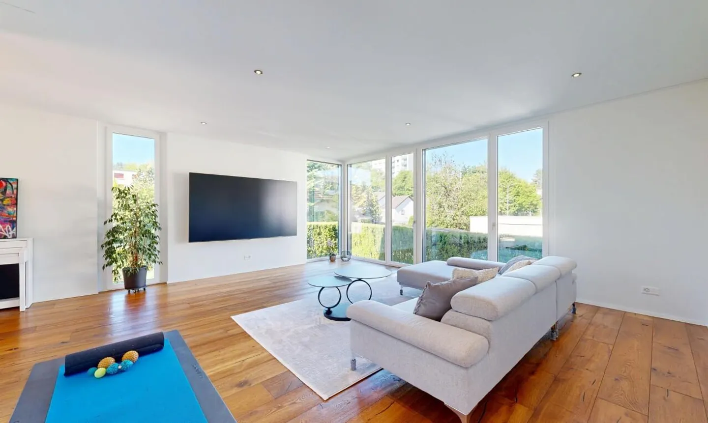 Modern Detached Family House with Large Garden in Dietikon - Photo 4 of 11