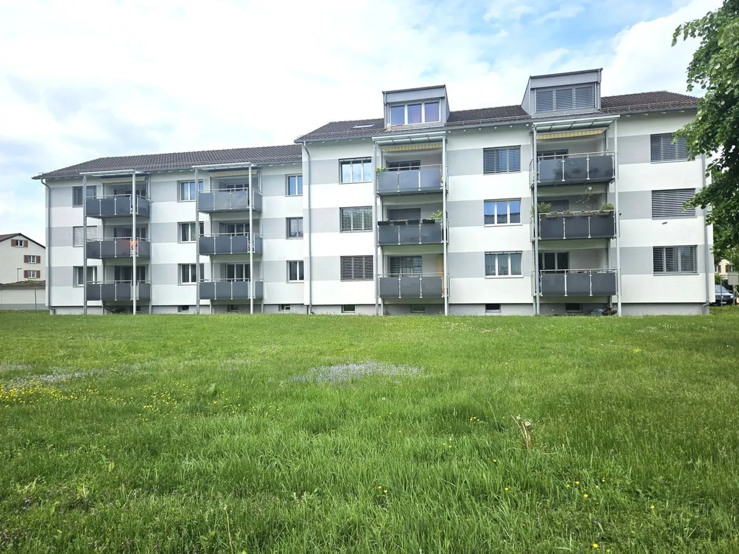 Appartamento spazioso 3.5 locali - Foto 2 di 10