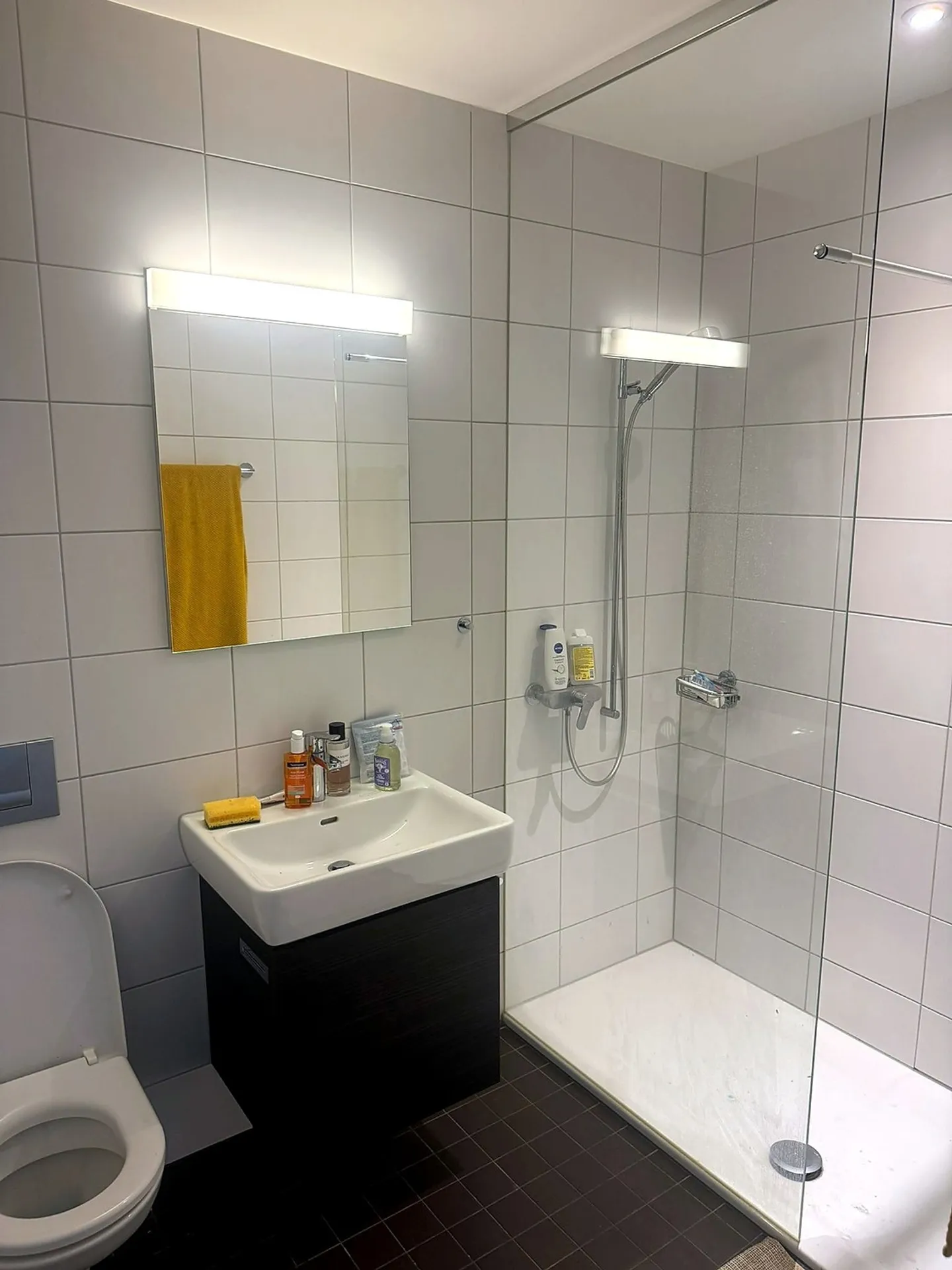 APPARTAMENTO DI 2½ LOCALI A GLATTPARK (OPFIKON), ARREDATO, TEMPORANEO - Foto 5 di 6