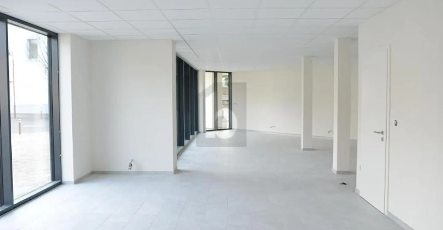BRIGHT AND MODERN SURFACE - Photo 2 of 6