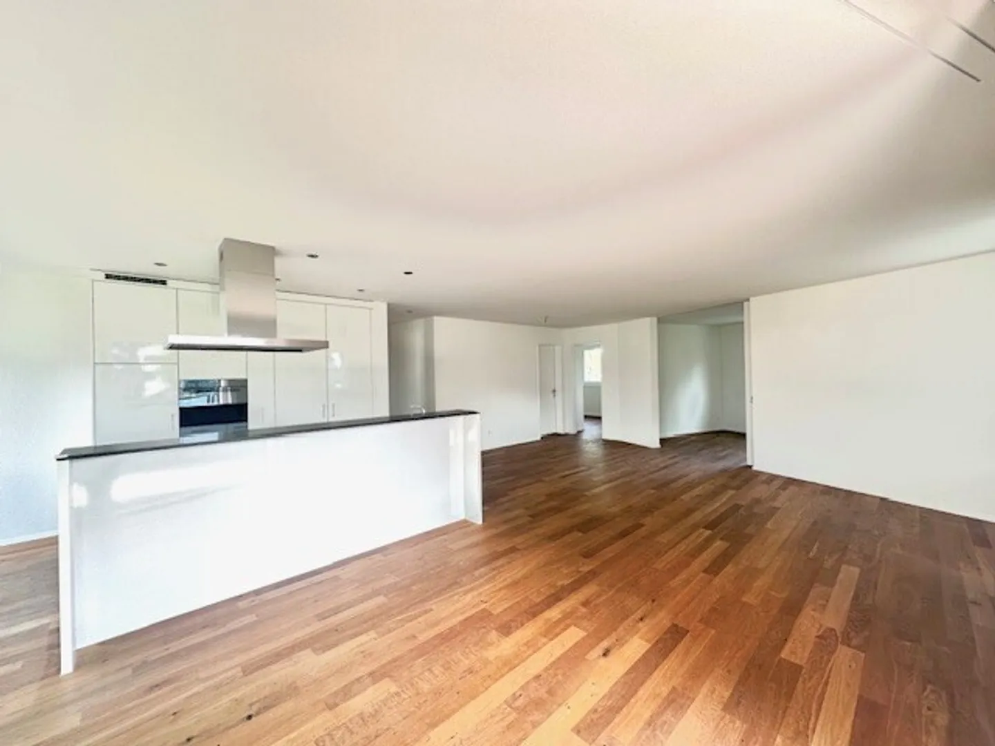 Stylish 4.5-room apartment with large terrace - Photo 4 of 11