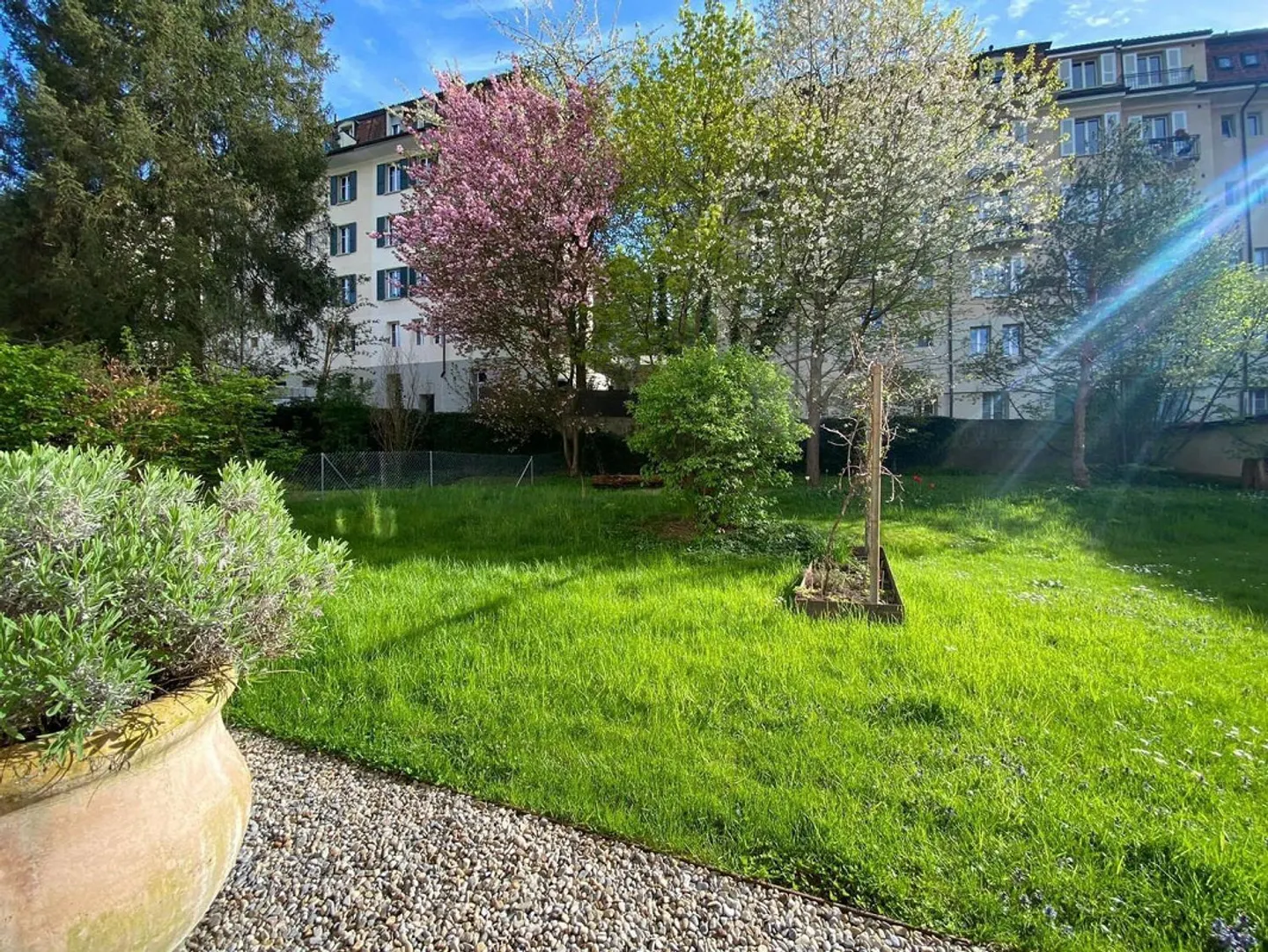 Appartamento arredato 3 ½ locali, 3007 Berna - Foto 1 di 7