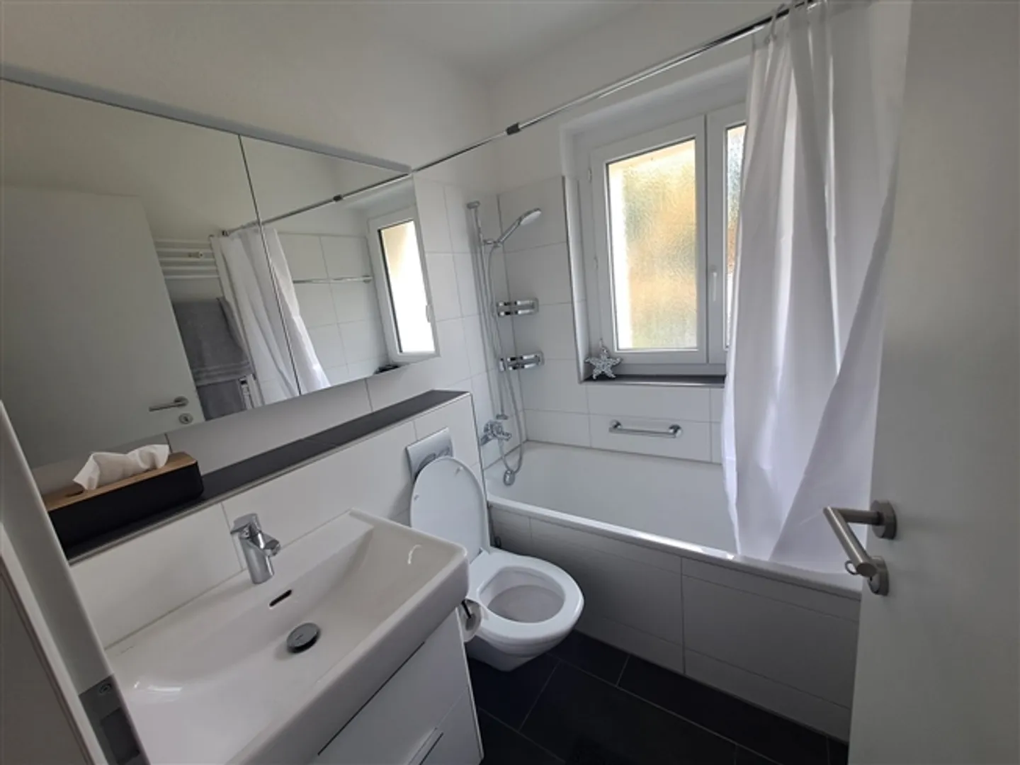 FOR A SINGLE PERSON IN ZURICH - DISTRICT 12 SCHWAMENDINGEN, FURNISHED, TEMPORARY - Photo 3 of 9