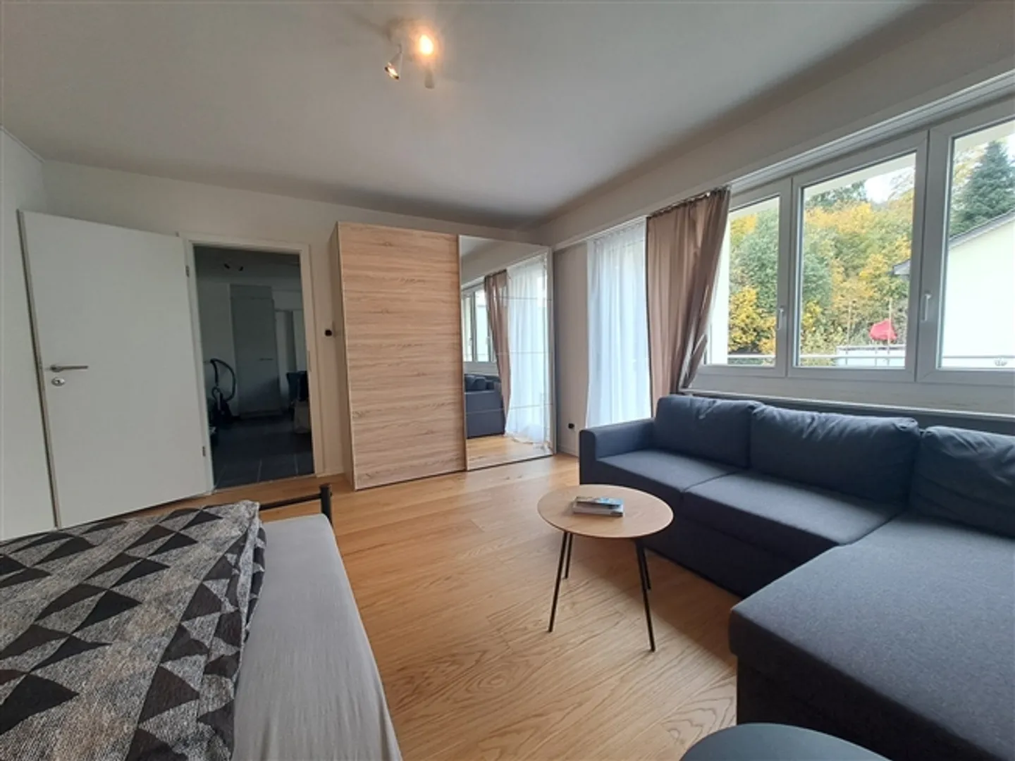 FOR A SINGLE PERSON IN ZURICH - DISTRICT 12 SCHWAMENDINGEN, FURNISHED, TEMPORARY - Photo 5 of 9