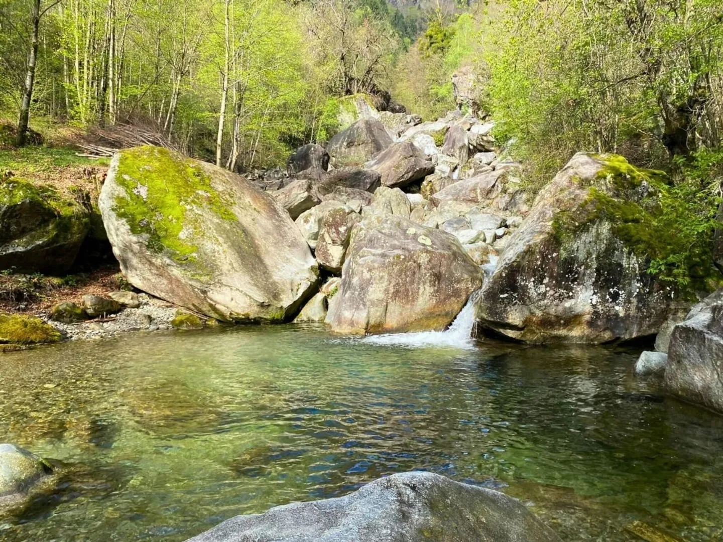 Grundstück mit Naturpool - Foto 4 von 7