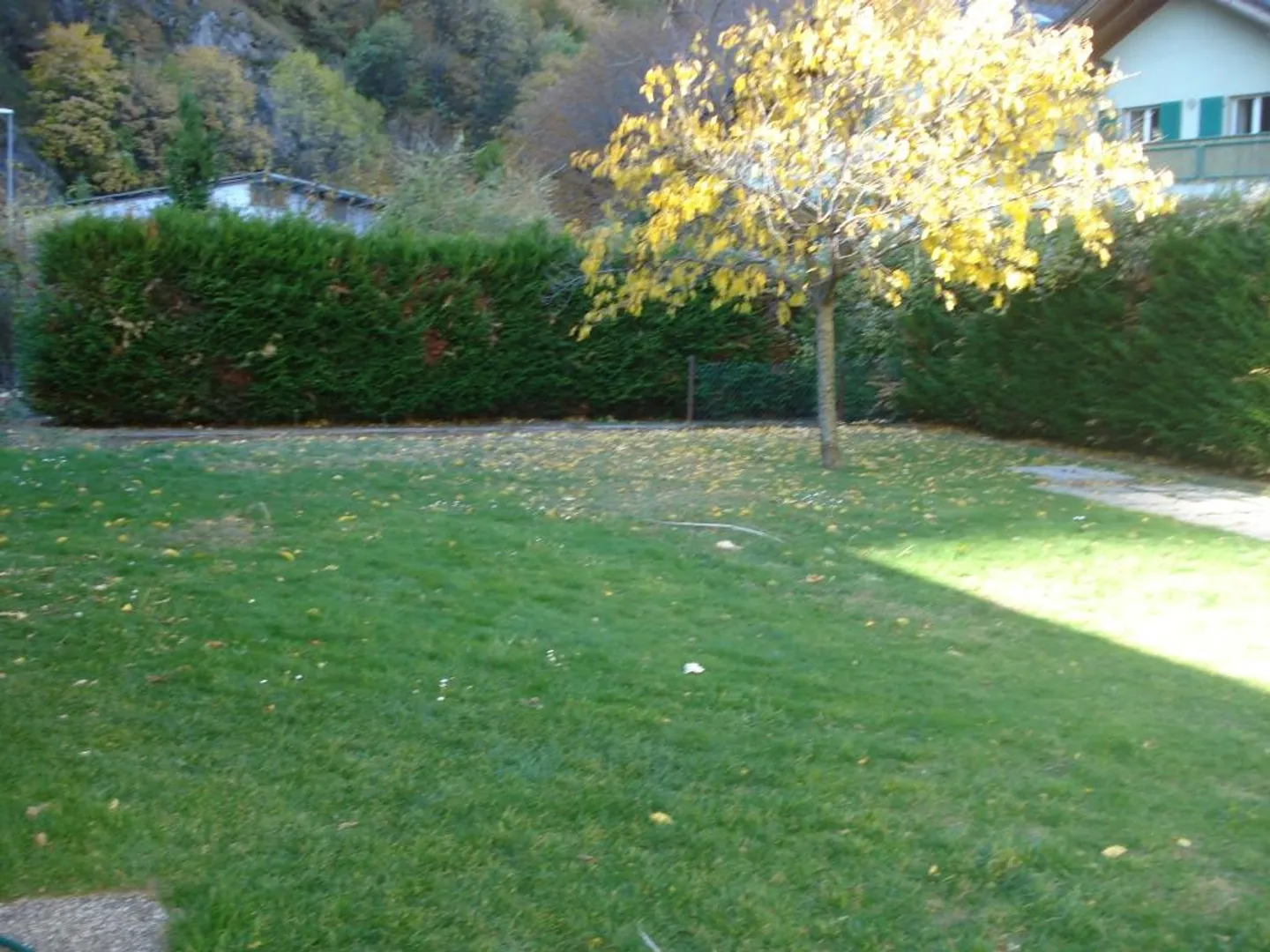 Wohngebäude 20 Zimmer - Foto 10 von 12