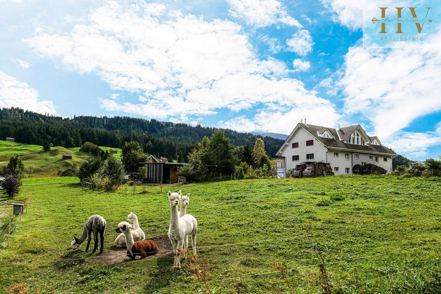 Appartamento 4.5 locali soleggiato a Wildhaus - Foto 17 di 19