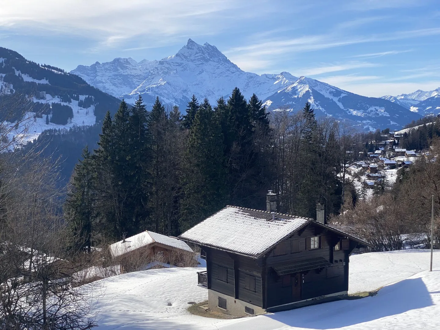 Chalet with 7 Rooms in Gryon - Photo 23 of 23