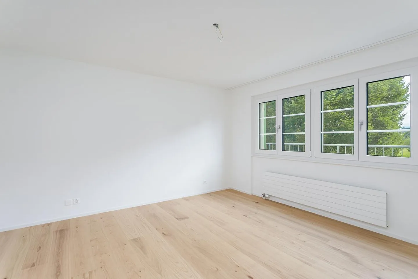 Midori | ZH - Photo 5 of 8