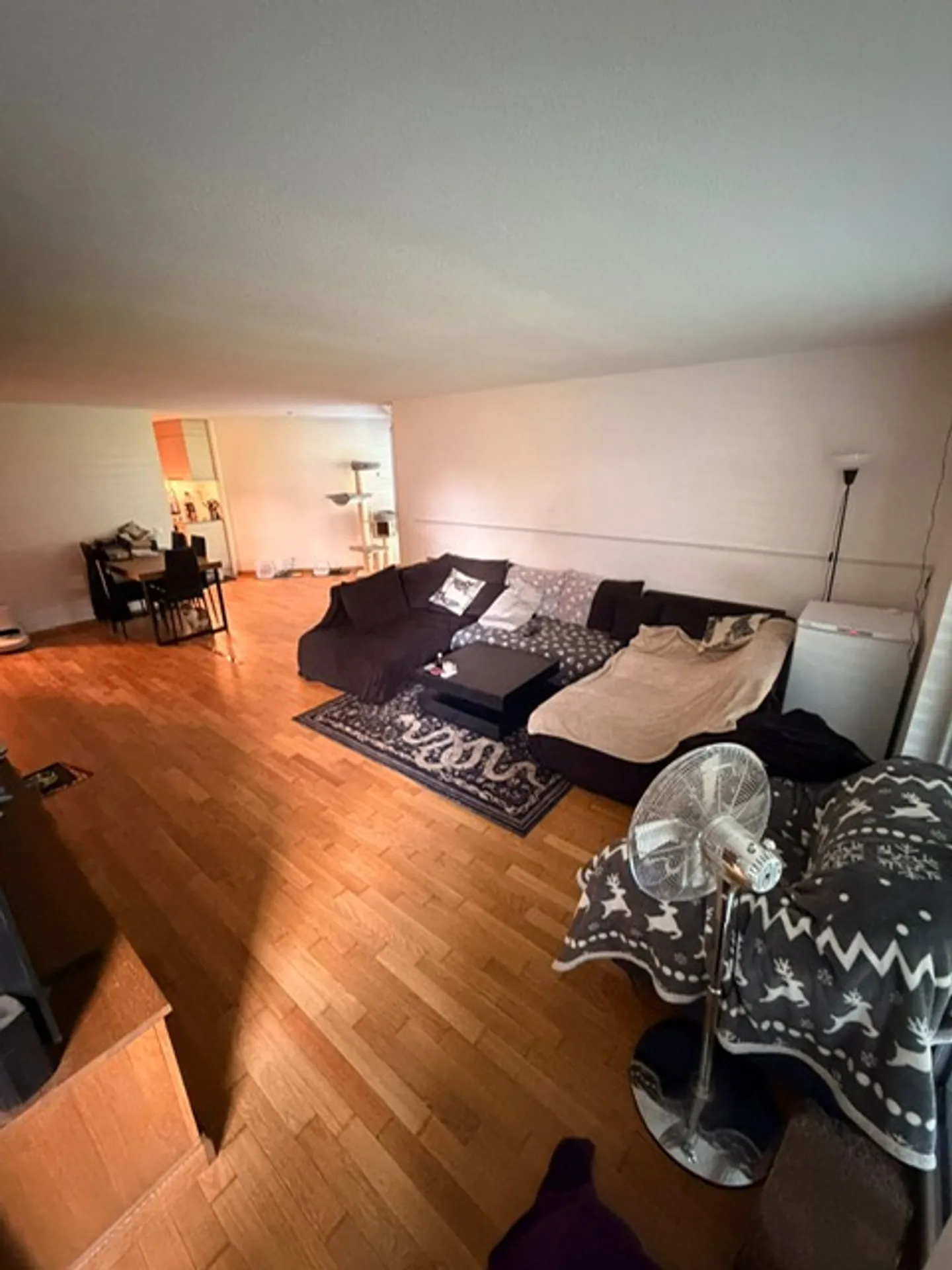Charmante Wohnung mit Balkon - Foto 2 von 12