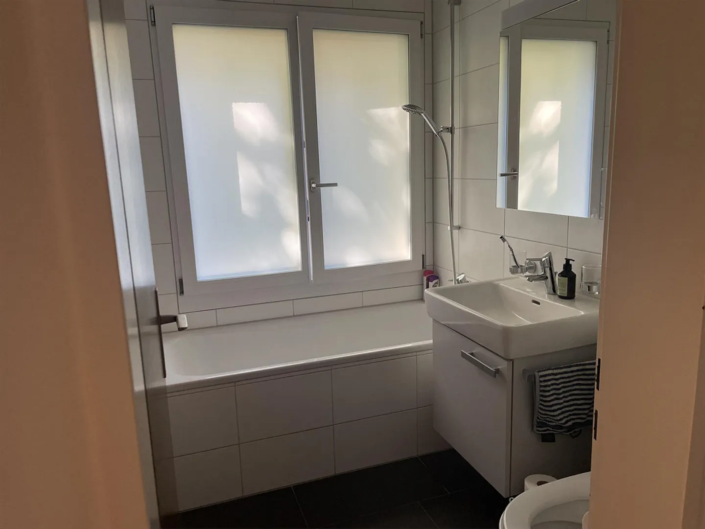 Küsnacht: Fireplace, Parking Space, Bathtub, Terrace & Private Garden - Photo 3 of 14