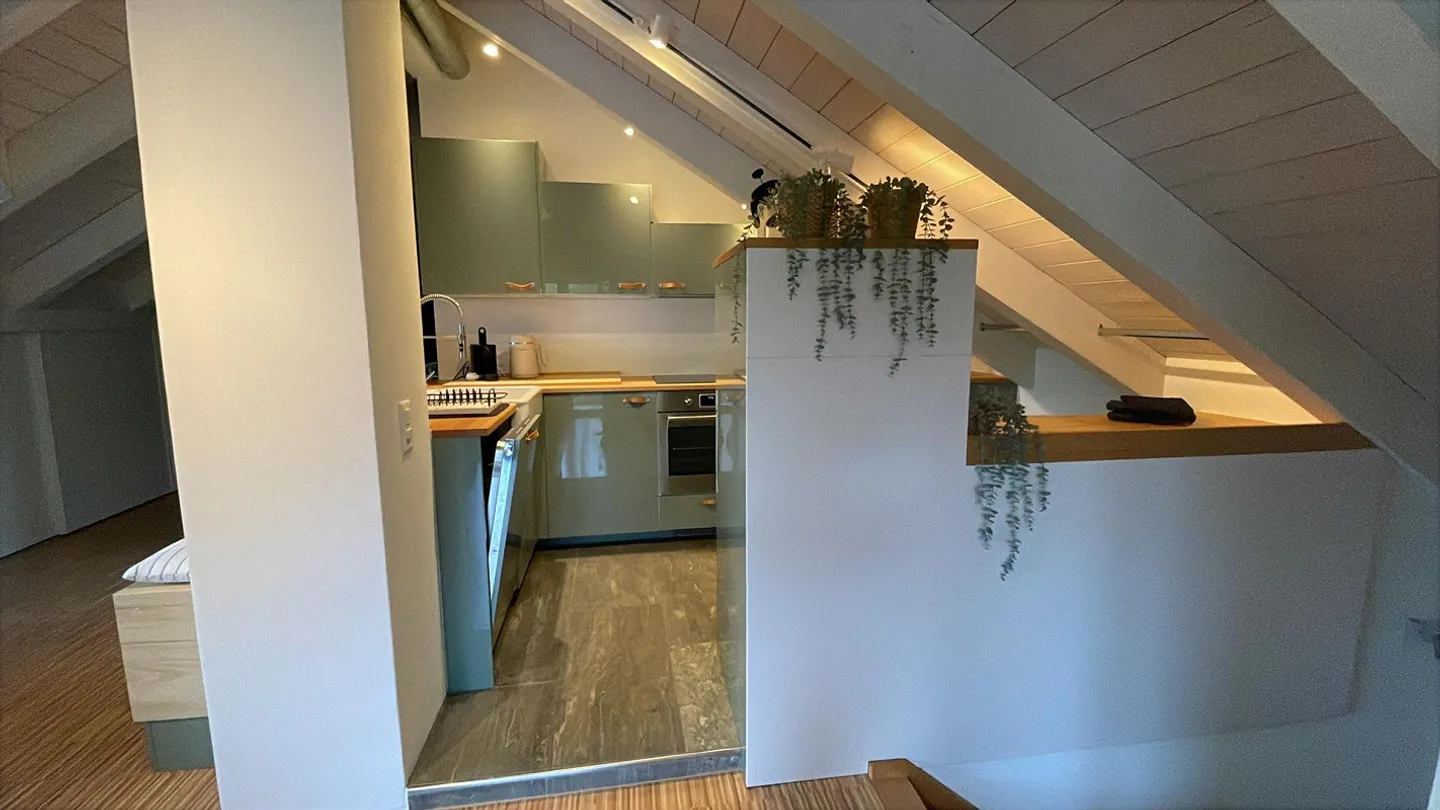 1 ½ Room Apartment for Rent in Züri-Oberland - Photo 11 of 15