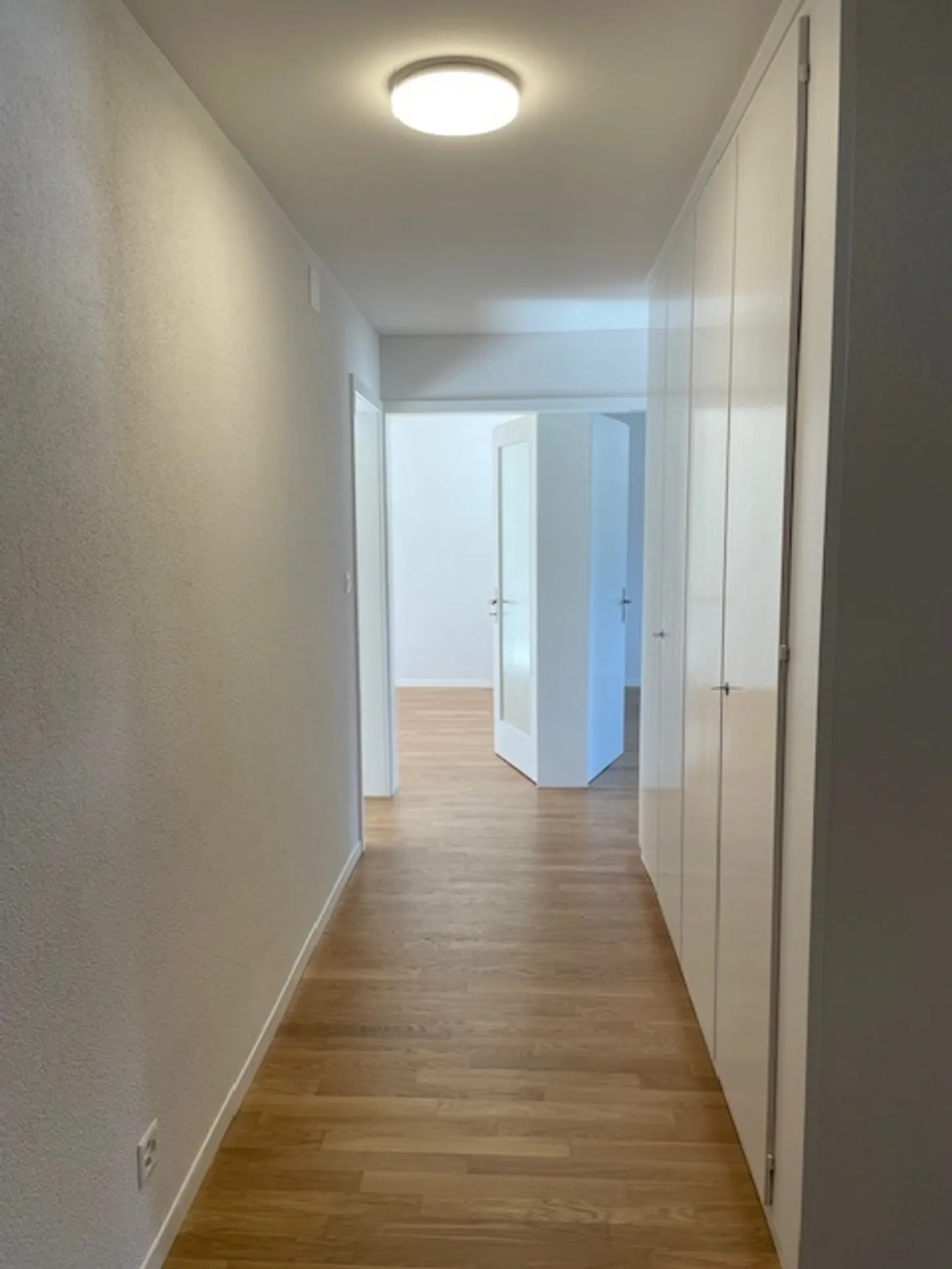 Great apartment in a central location - Photo 4 of 7