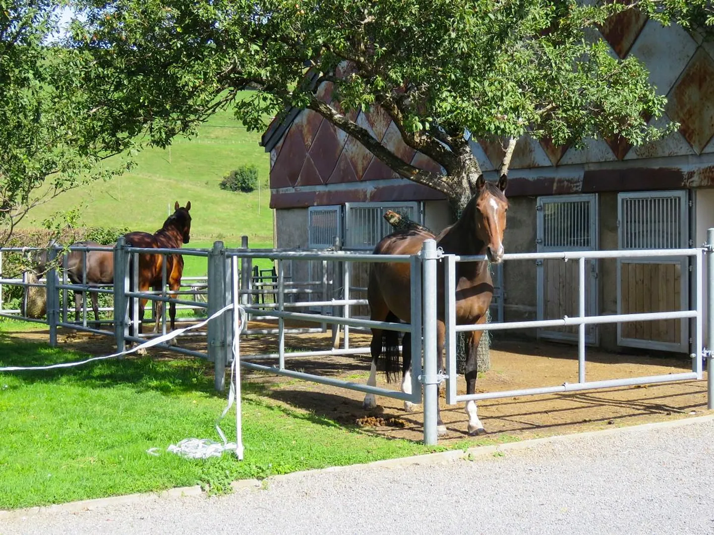 Renovated Farm with Exceptional View of the Pre-Alps! - Photo 12 of 17