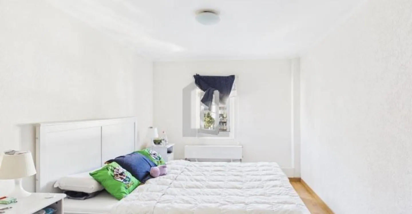 PENTHOUSE WITH BALCONY IN SERVETTE-CHARMILLES - Photo 4 of 6