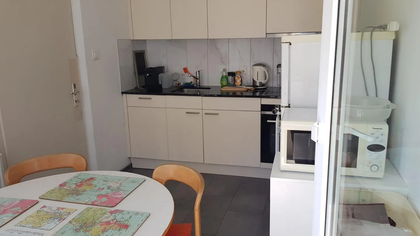 Charmante appartement 3.5 pièces à Saint-Gall - Photo 5 sur 12