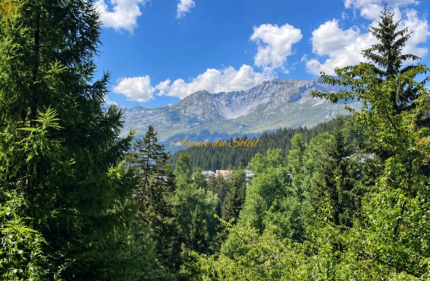 Charming Studio in Crans - Photo 1 of 7