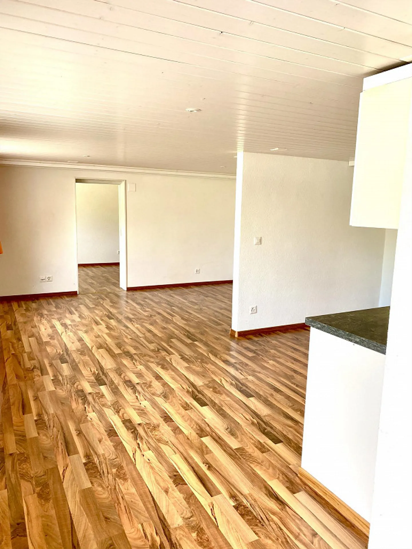 Appartamento luminoso e spazioso di 2,5 stanze - Foto 4 di 5