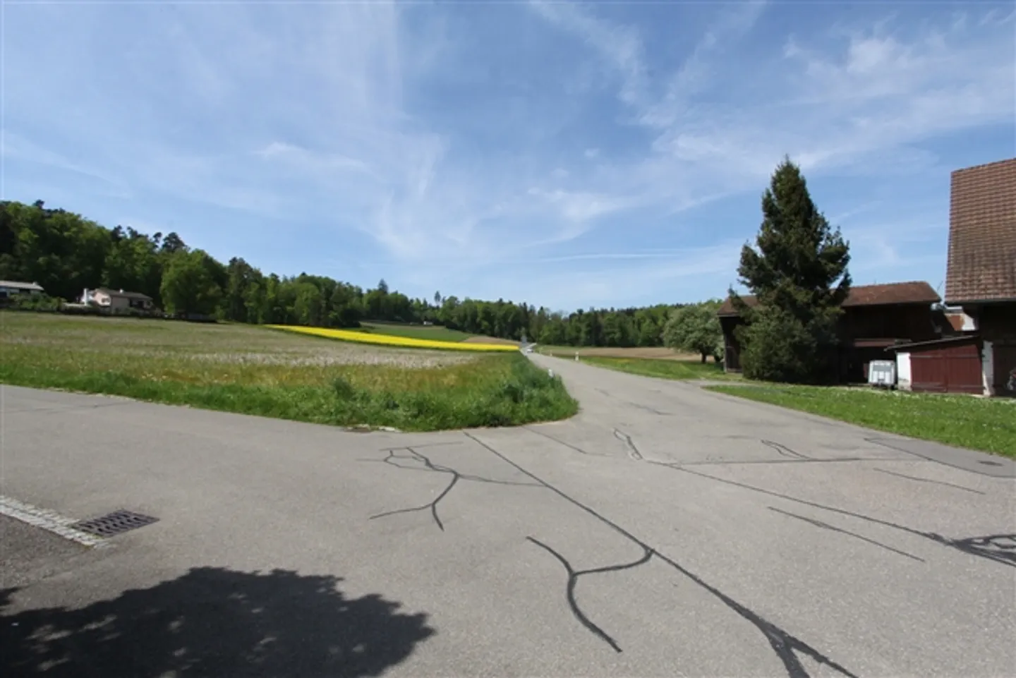 Parte della casa e laboratorio oltre a grande appezzamento di terreno - totale 1'742 m2 - Foto 7 di 7