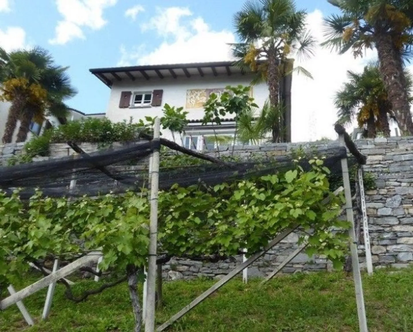 *Apartment with courtyard and house* - Photo 3 of 9