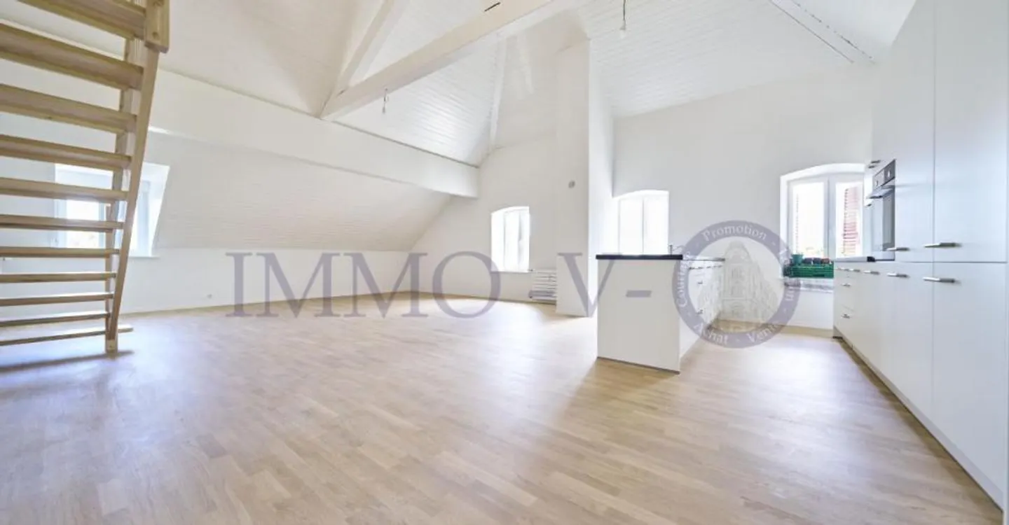 Duplex Élégant avec Design Moderne - Photo 2 sur 10