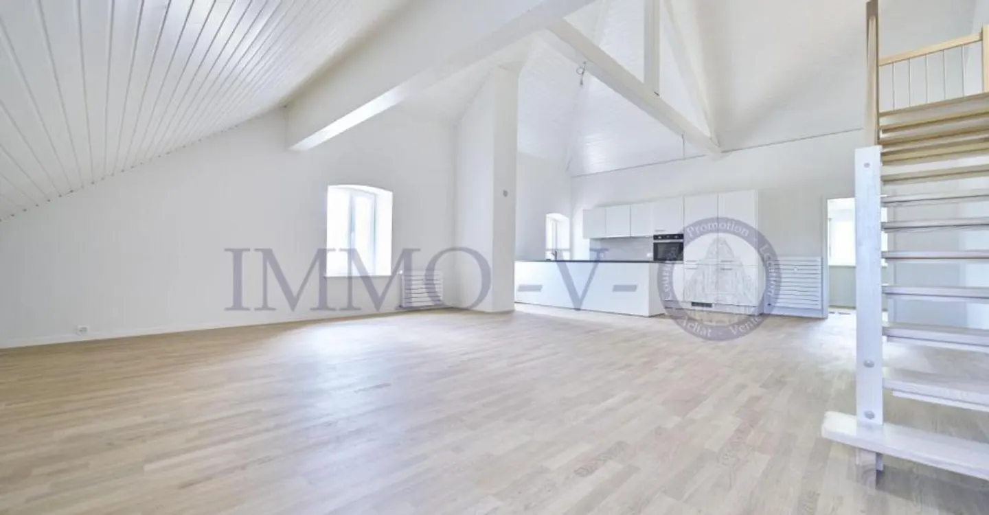 Duplex Élégant avec Design Moderne - Photo 1 sur 10