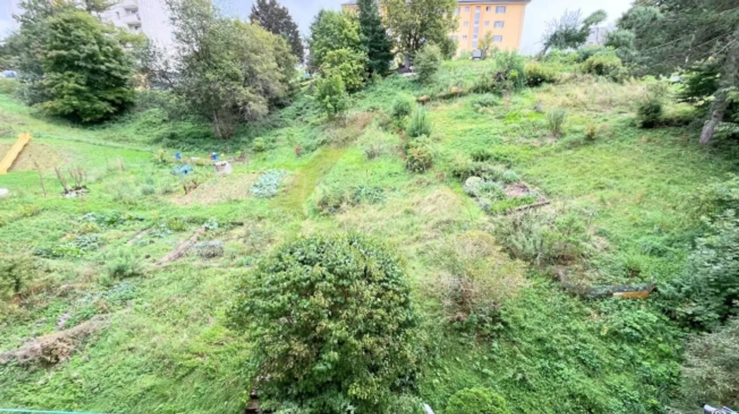 Appartamento in affitto - Foto 7 di 7