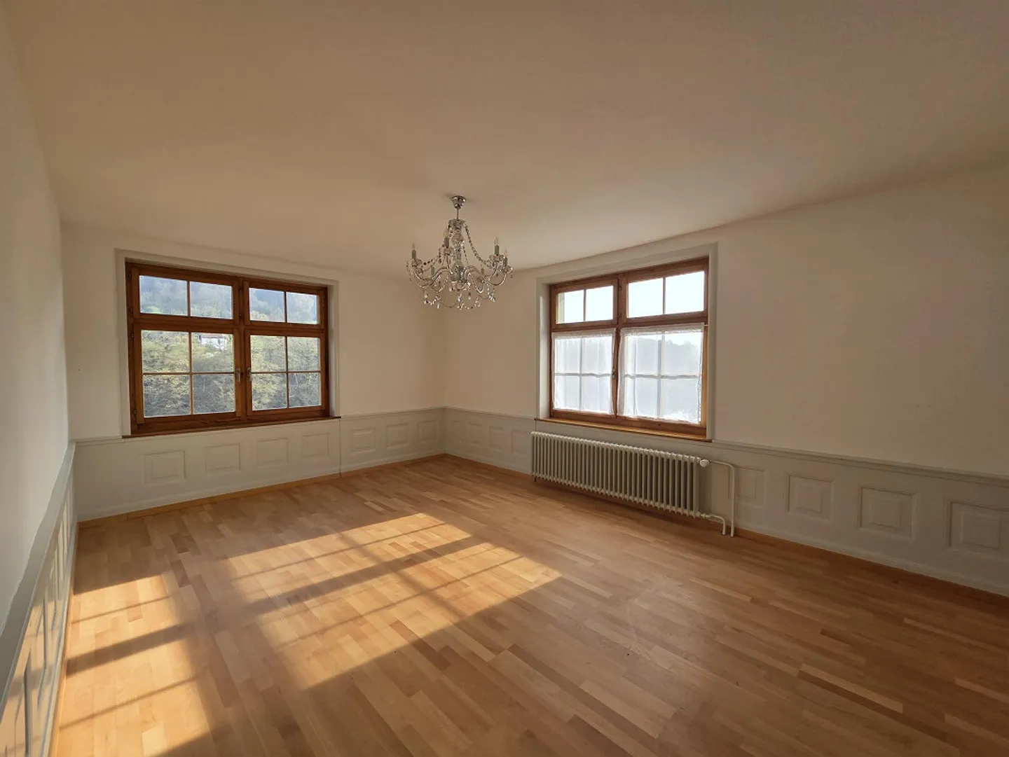 Charming House with Rhine View - Photo 7 of 14