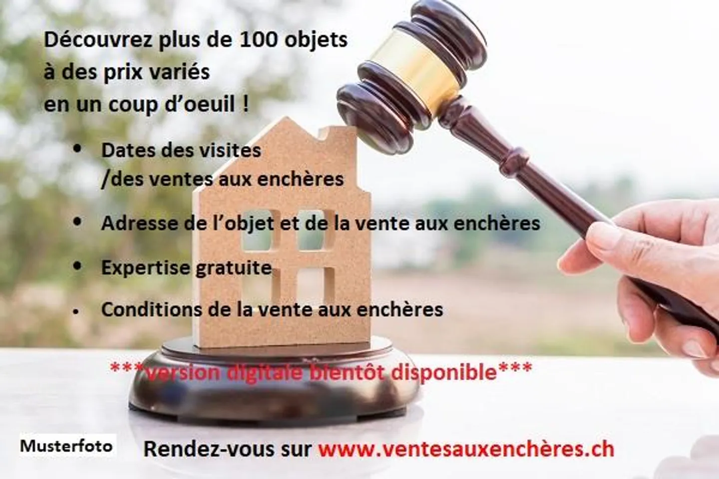 Propriété rurale avec potentiel d'enchères - Photo 3 sur 13