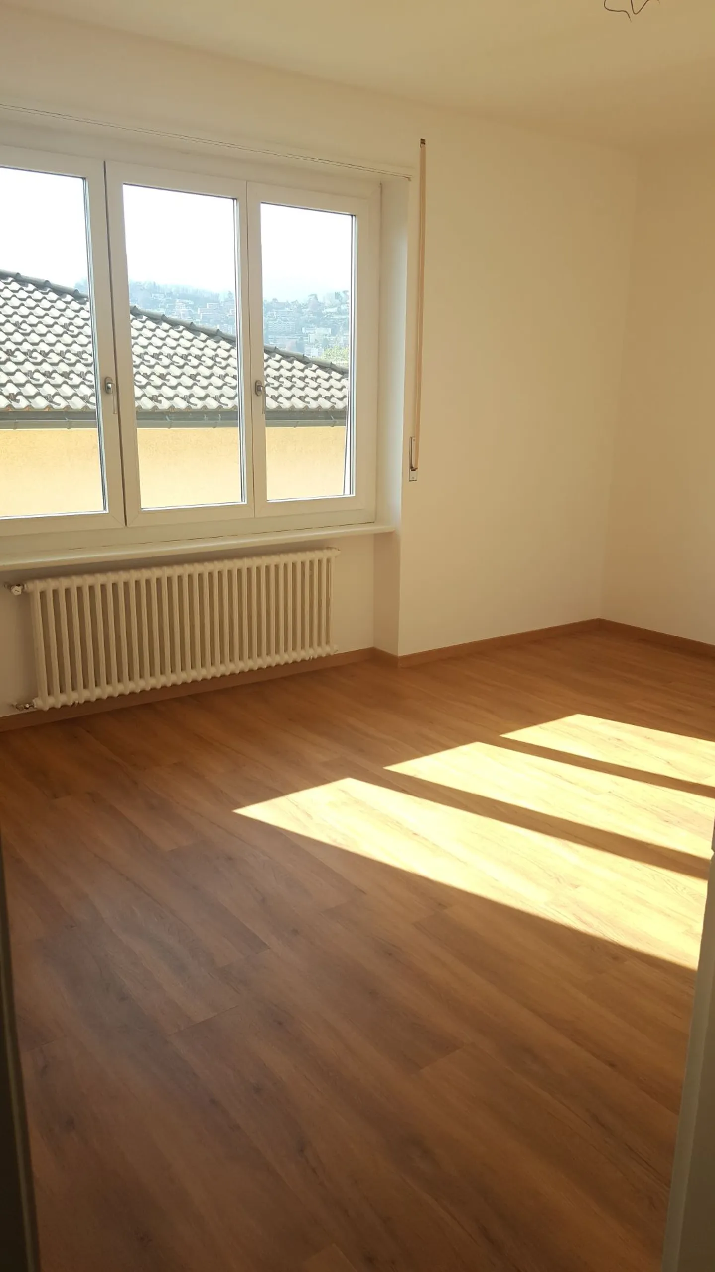 Affittasi a Viganello appartamento recentemente ristrutturato di 3 locali - Foto 1 di 5