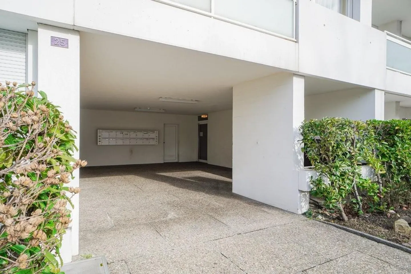 Vuoi vivere più vicino al Reno? - Foto 2 di 11