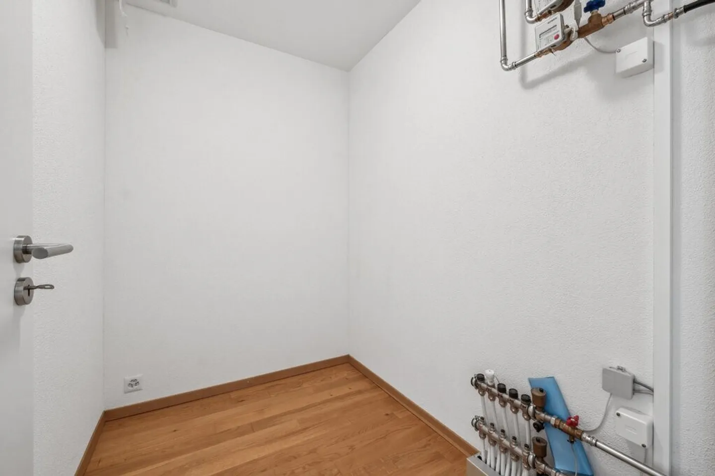 Small but mighty! - Photo 6 of 10