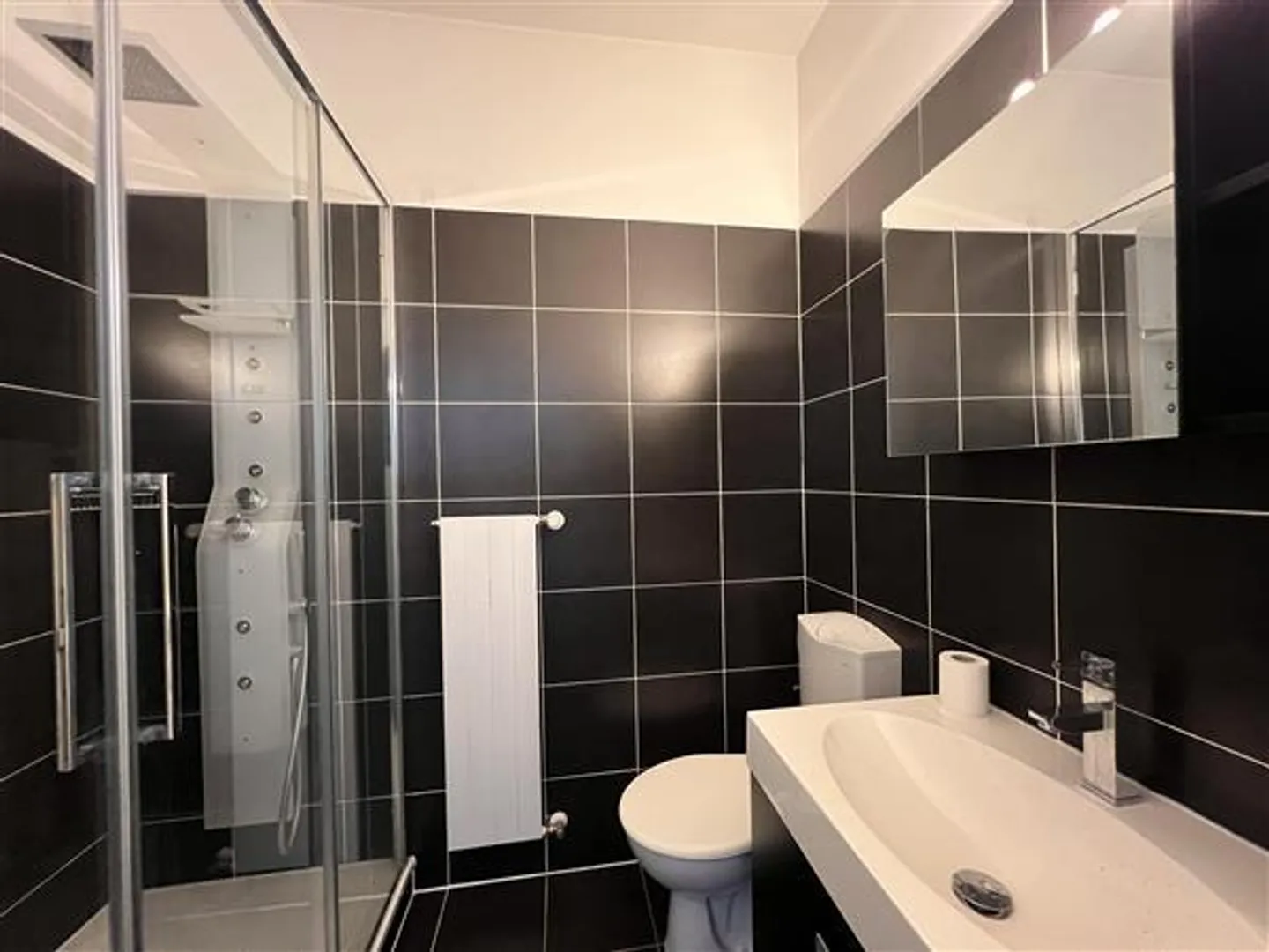 Lugano: Furnished apartment 2.5 rooms - Photo 8 of 8