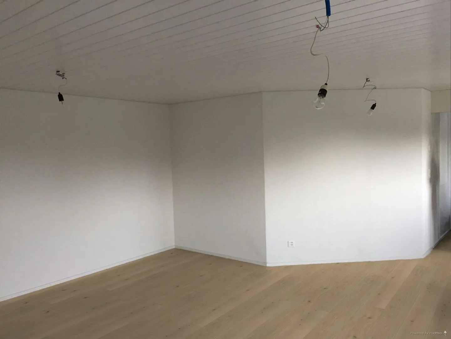 Dream apartment with beautiful lake view - Photo 4 of 14