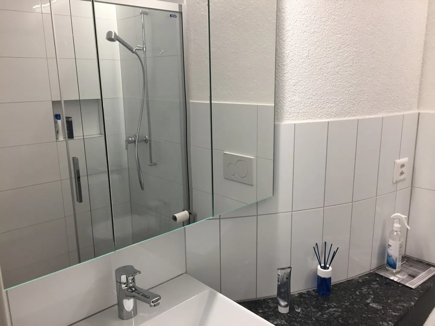 Dream apartment with beautiful lake view - Photo 6 of 14