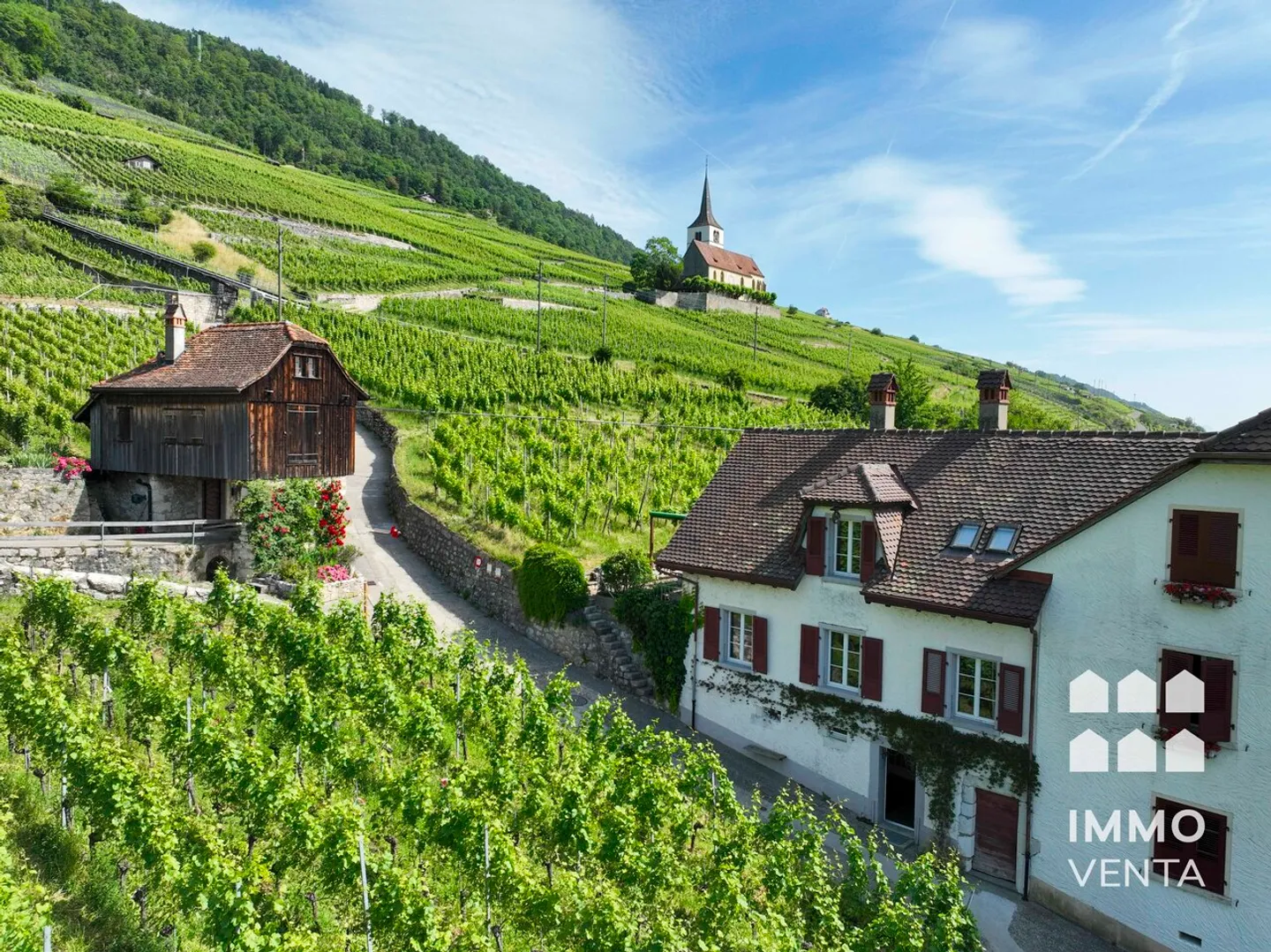 Single-family house in Ligerz with lake view and own vineyards - Photo 1 of 16
